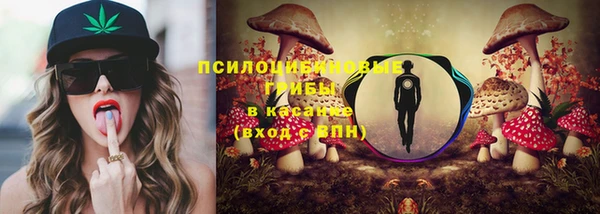 мяу мяу мука Алзамай